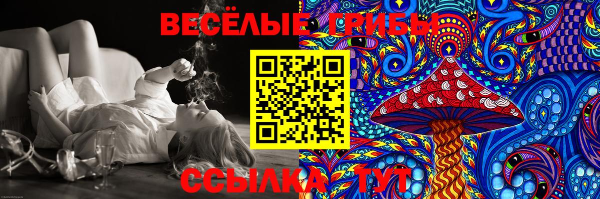 Псилоцибиновые грибы Magic Shrooms  Галлюциногенные грибы мухоморы  Зеленогорск  Вход с VPN 
